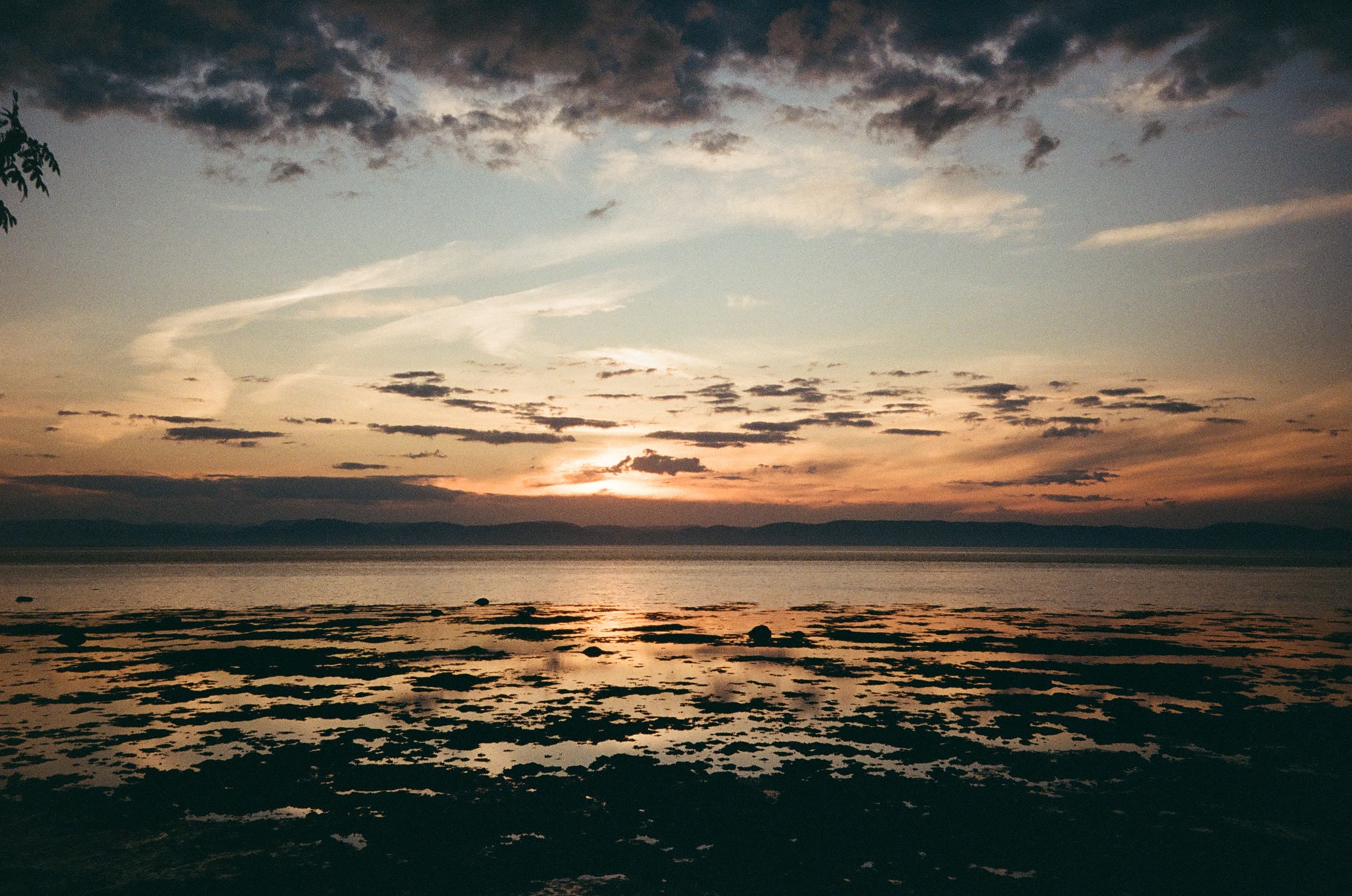 Photographie argentique 35mm - 00002070-003