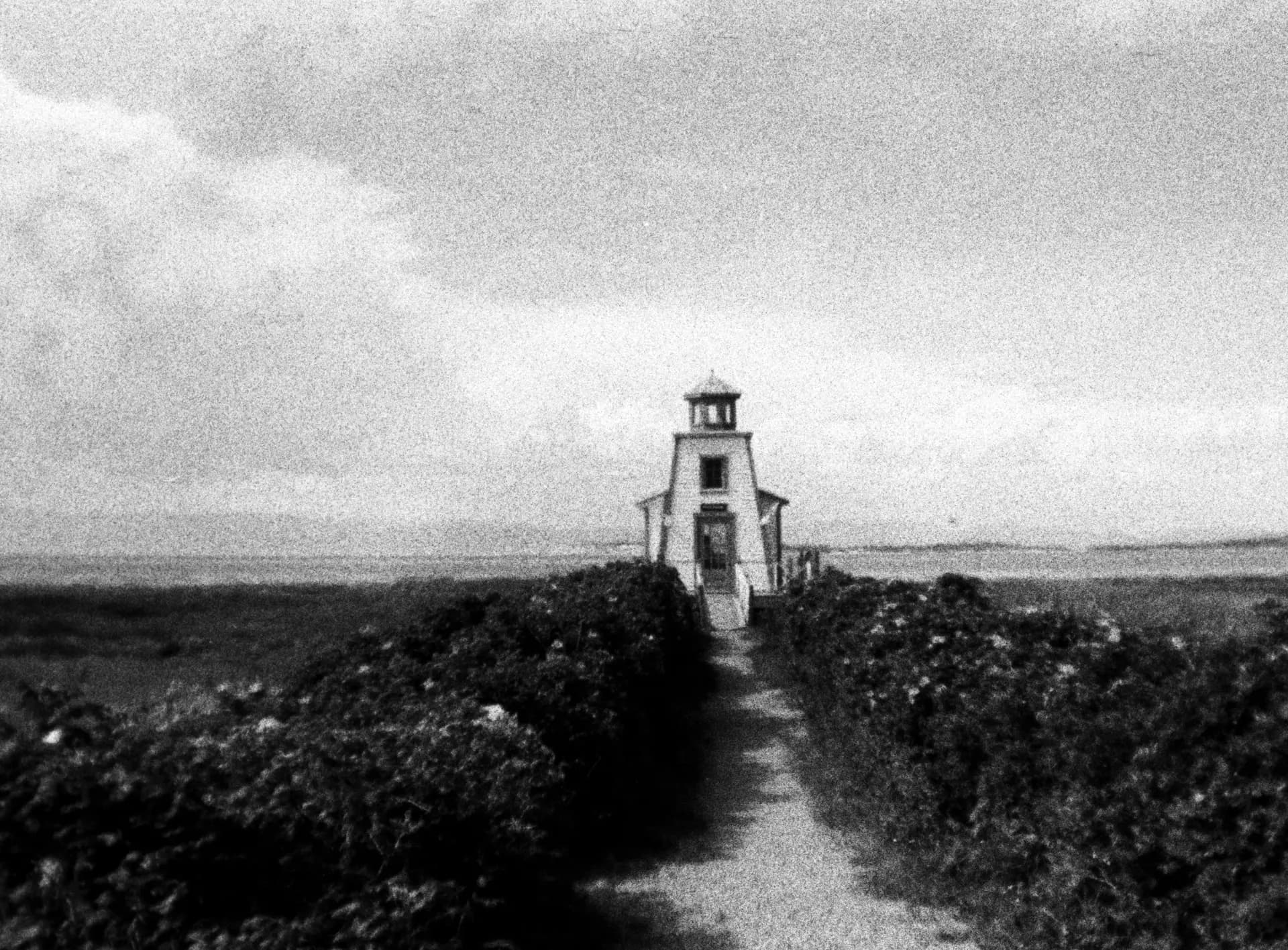 Photographie argentique 110mm - 006