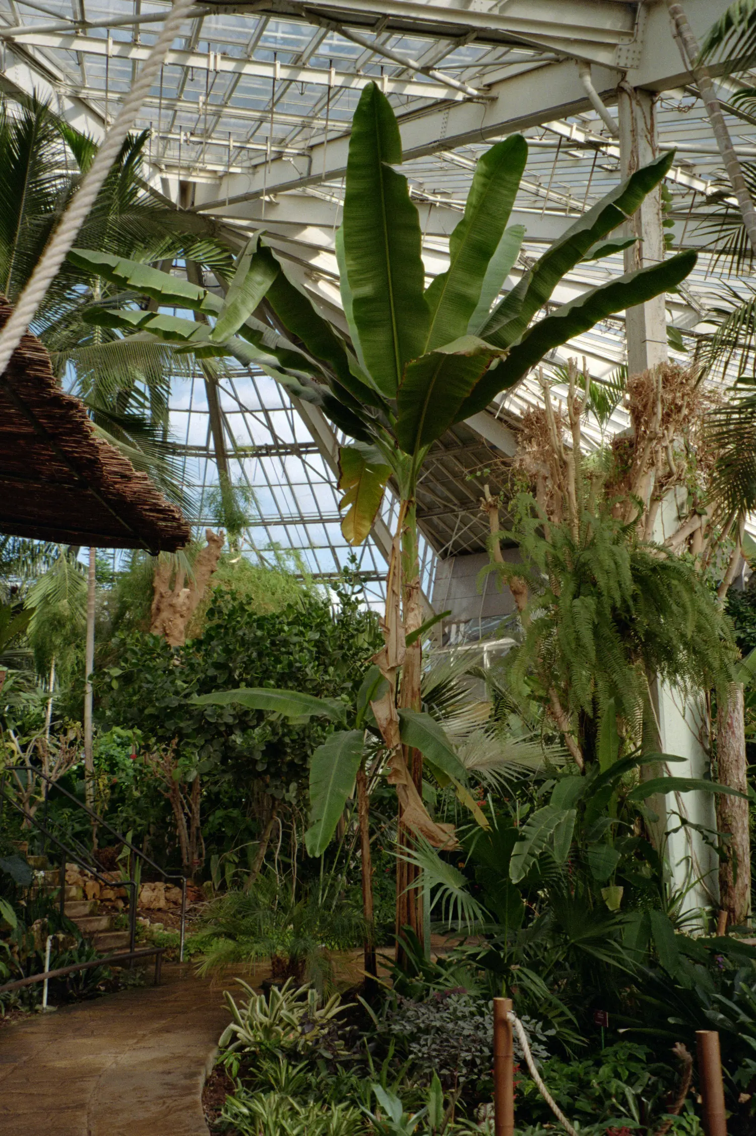 Photographie argentique 35mm - 903df-00